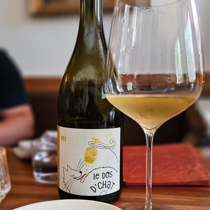The World of White Wine: A Cork Boutique Wines Guide