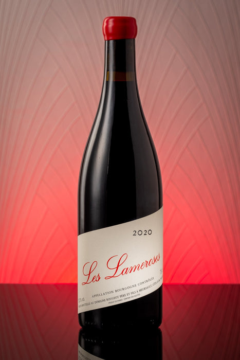 2020 Domaine Rougeot Bourgogne Pinot Noir 'Lameroses' Nature